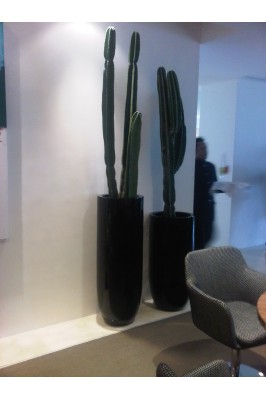 Sky Garden