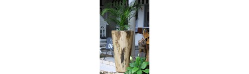 Fiber Pots